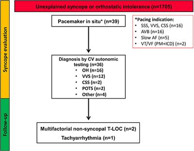 Cardiovascular Autonomic Dysfunction Is the Most Common Cause of Syncope in Paced Patients